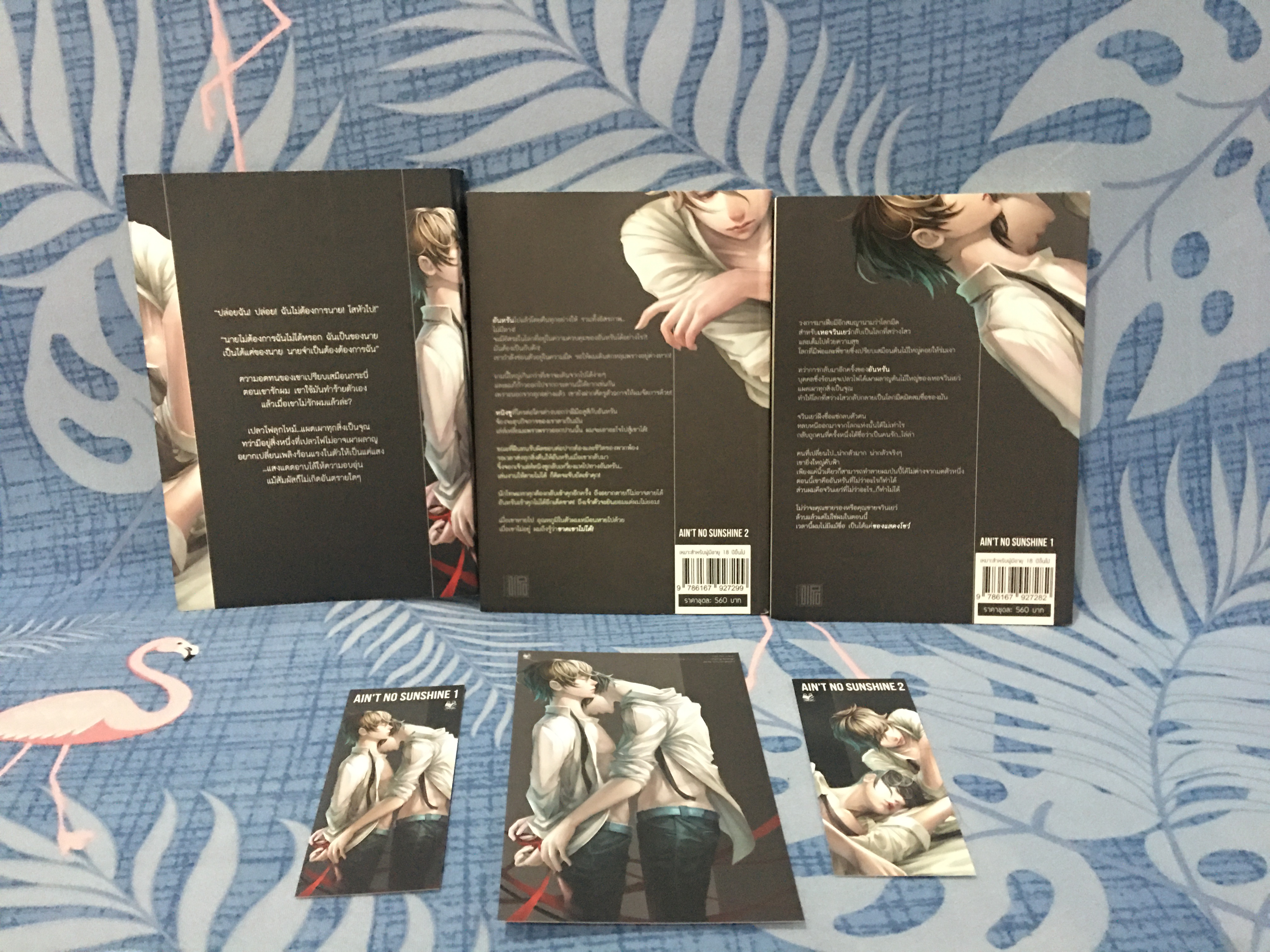 นิยายแปล ตราบสิ้นแสงตะวัน 2 เล่มจบ + ปลอกสวม