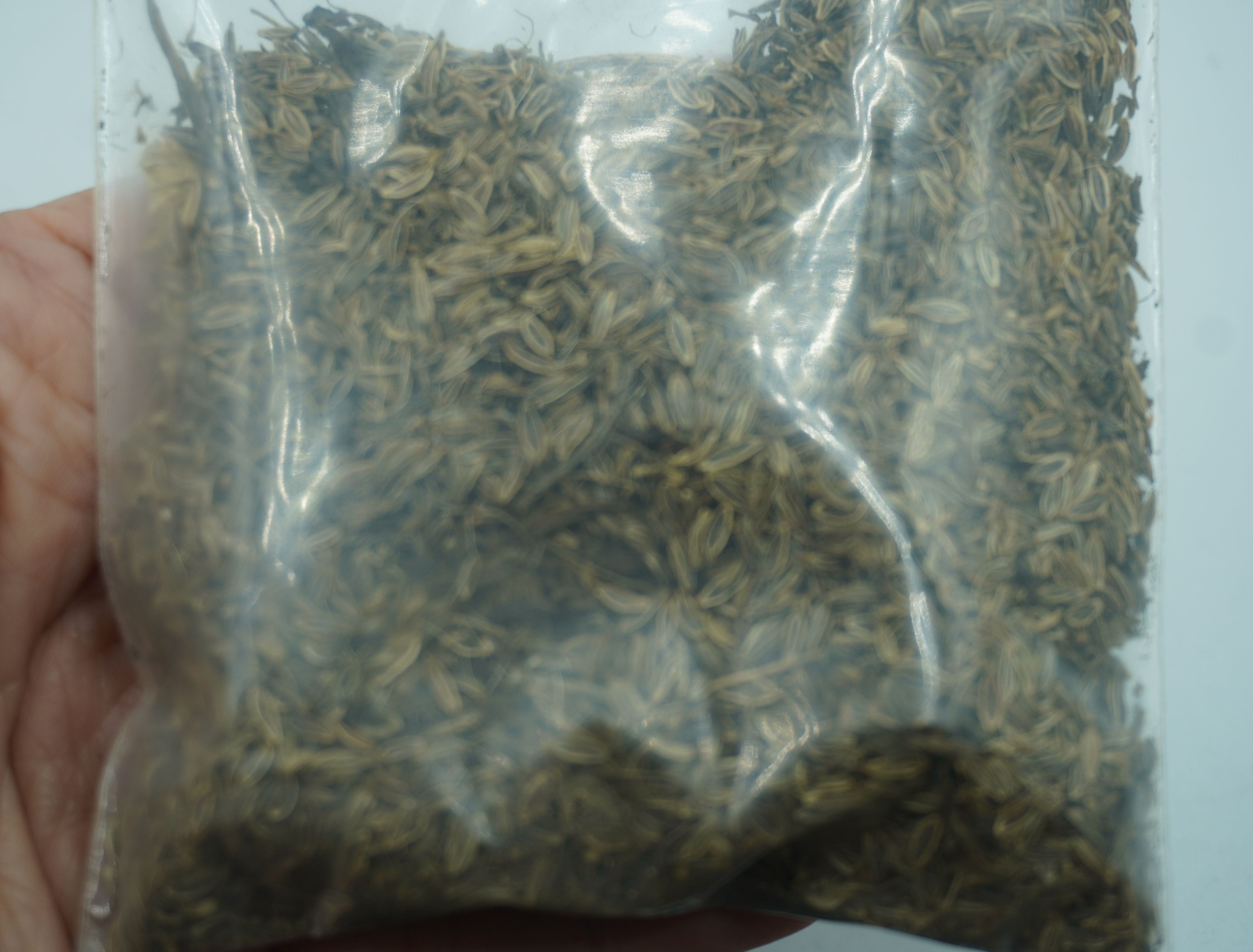 เมล็ดพันธุ์โสมตังกุย (ของหายาก) น้าหนัก 25 กรัม เม็ดโสมตังกุย เมล็ดตังกุยแห้ง (โกฐเชียง) Angelica sinensis Diels สรรพคุณ ต้านอนุมูลอิสระ บำรุงกำลัง ช่วยฟอกเลือด ช่วยกระจายโลหิต บำรุงสมอง รักษแก้อาการปวดศรีษะ มือเท้าเย็นชา ลดอาการปวดประจำเดือน