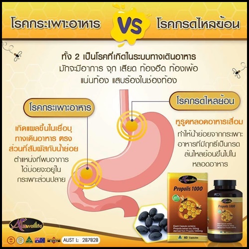 Auswelllife Propolis ออสเวลไลฟ์ โปรพอลิส สารสกัดจากรังผึ้ง