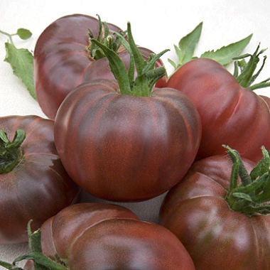 มะเขือเทศรัสเซียสีดำ - Black Russian Tomato