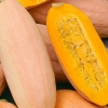 ฟักทองกล้วยสีชมพู - Pink Banana Squash