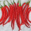 พริกคาเยนผลยาวสีแดง - Long Red Cayenne Pepper