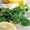 ผักชีเลม่อน - Coriander Lemon
