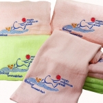 ตราสัญลักษณ์ปีนักบวช