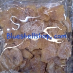 หมึกแก้ว