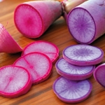 แรดิชบลูมูน & เรดมูน F1 - Radish Bluemoon & Redmoon F1 Radish