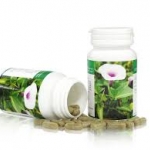 เวจจี้ ไฟเบอร์ ไดเอ็ท