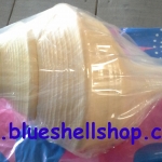 เปลือกหอยสังข์อินโด ส่งฟรีจ้า