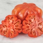 มะเขือเทศมัชรูมบาสเกต - Mushroom Basket Tomato