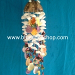 กะลาเวียนสไลค์ดอกไม้เชลล์สีรวม