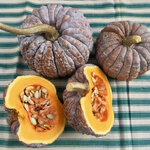 ฟักทองญี่ปุ่นแบล็กฟุตสึ - Black Futsu Squash