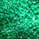 หอยทับทิมสีเขียวชั่งกิโล