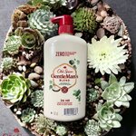 New สินค้านำเข้าจาก USA Old Spice GentleMan's Blend Body Wash, 30 Fluid Ounce Product Details 30 FL Oz. 650 - 1,250 บาท