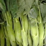 คะน้าเห็ดหอม - Chinese Kale