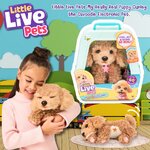 นำเข้า 🇺🇸 Live Pets My Really Real Puppy ✨ Curley The Cavoodle - เพื่อนรักขนฟูตัวใหม่ของคุณ 🐶 ราคา 2,990 บาท