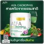 อัลฟาฟ่า คลอโรฟิลล์ Alfa Chlorophyll Plus Fiber
