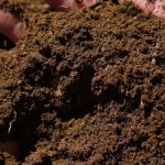 พีทมอส - Peat Moss 1 ลิตร (ประมาณ 300 กรัม)