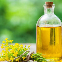 คาโนลา - Canola 700 เมล็ด