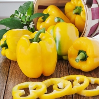 พริกหวานสีเหลือง - Golden California Pepper 30 เมล็ด