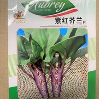 คะน้าก้านแดง F1 - Chinese Kale F1 10 กรัม