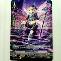 ไนท์แมร์ เพนเตอร์ ฟอย ฟูลอาร์ต ชาโด พาลาดิน V-BT02
