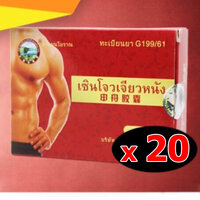 เซินโจว 20 กล่อง