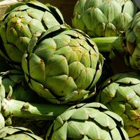 อาร์ติโชค - Green Globe Artichoke 30 เมล็ด
