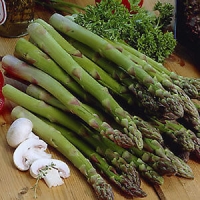 หน่อไม้ฝรั่งเขียวแมรี่วอชิงตัน - Mary Washington Asparagus 50 เมล็ด