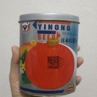 ฟักทองญี่ปุ่นสีส้ม F1 - Red chesnut Japanese Pumpkin F1 กระปุก 50 กรัม