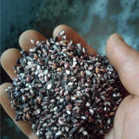 ข้าวอินเดียเมล็ดยาวสีดำ - Black indica Rice 150 เมล็ด