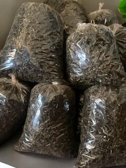 ชาอัสสัม Handmade (แฮนด์เมด) ขนาด 500 กรัม ชาดอยลาง ชาป่าเติบโตตามธรรมชาติ สินค้ามีจำนวนจำกัด !! ชาดำอัสสัม (ใบชาอบแห้ง) จากดอยลาง ASSAM TEA 500 g. ชาออแกร์นิค Doilang Tea กลิ่นหอม รสชาติดี ชาจากธรรมชาติ ของดีในราคามิตรภาพ ใบชาเส้น