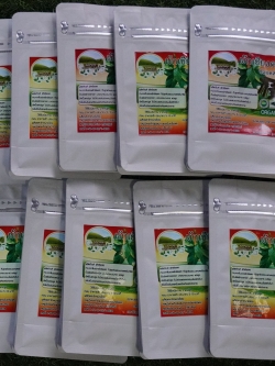 ผักเชียงดาชนิดเม็ด ขายส่ง 10 ห่อ (ห่อละ 60 แคปซูล) Gymnema เชียงดาแคปซูล ชาเชียงดา Organic Chiangda Tea ได้รับเครื่องหมาย ประทับตรา NFI ผักเชียงดาอัดแคปซูลปลอดสาร สำหรับผู้ที่มีปัญหาระดับน้ำตาลในเลือดสูง ช่วยปรับระดับอินซูลินในร่ายกายให้อยู่ในสภาวะที่สมดุ