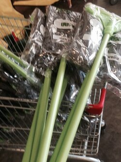 ไม้ถูพื้น