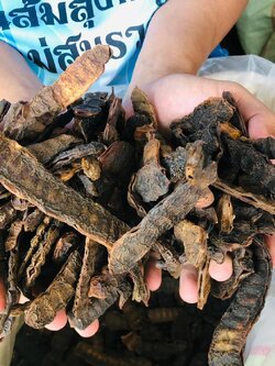 ฝักส้มป่อย 1 กิโลกรัม ส้มป่อย(แห้ง) ฝักส้มป่อย ฝักส้มป่อยแห้ง Soap Pod น้ำหนัก 1 กิโลกรัม ใช้เป็นยาแก้ไข้จับสั่นหรือไข้มาลาเรียแก้ไอขับเสมหะ แก้เสมหะ และใช้ทำน้ำมนต์ตามความเชื่อของชาวล้านนา