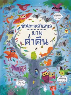 ยามค่ำคืน ชุด ซ่อนหาแสนสนุก