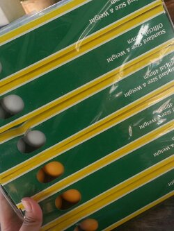 ลูกปิงปอง