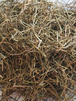 ชาเจียวกู่หลาน ขนาด 1 กิโลกรัม ราคานี้คุ้มสุด ๆ ชาออแกร์นิค เจียวกู่หลาน ปลอดสารเคมี Jiaogulan (Gynostemma pentaphyllum) ชาสมุนไพรแห่งชาติปี 2548