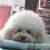 ร้านaleeshopp ร้านaleeshopp