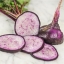 แรดิชมาลากาสีม่วง - Malaga Violet Radish