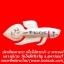 ปลากัดมหาลาภ เนื้อไม้พระเจ้า ๕ พระองค์ หลวงปู่น่วม วัดโพธิ์ศรีเจริญ