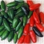 พริกเซอราโน - Serrano Pepper