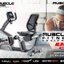 จักรยานเอนปั่น MuscleX R301 Elegance