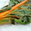 สวิสชาร์ดสีส้ม - Orange Fantasia Swiss Chard