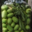แตงกวาเม็กซิกัน - Mexican Sour Gherkin