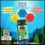 ออสเวลไลฟ์ ดีเอชเอ Algal Oil DHA Auswelllife อาหารเสริมสำหรับเด็ก (ของแท้ ส่งฟรี)