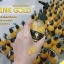 เซรั่มทองคำเปิดผิวขาว วิ้งค์ โกลด์ บอดี้ เซรั่ม (WINK GOLD BODY SERUM)