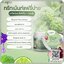 แฟรี่ปาย ทรีทเม้นท์ Fairypai Hair Teratment (แพ็คเกตใหม่)