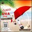 บีบีกันแดดน้ำหอม DN SUNSCREEN BODY LOTION (แพ็คเกตใหม่)