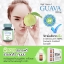 วิตามินซีฝรั่ง (Guava Hight Vitamin C 1,000 mg)
