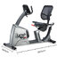 จักรยานเอนปั่น MuscleX R301 Elegance